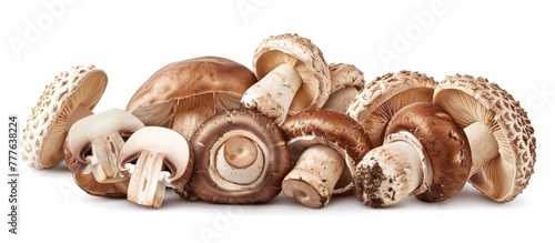 A collection of Shitake and eringi mushrooms piled on a white background.