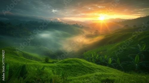 Sunrise over a lush green hill, light rays piercing the mist, wide angle, vibrant colors, high contrast
