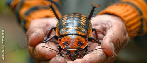 Person Hand holding a Madagascar hissing cockroach outdoors. Gentle interaction with nature. Concept of exotic pets, entomology, wildlife handling, outdoor learning, and insect education.