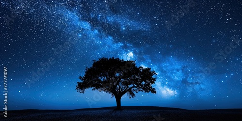 A view of a lonely old tree against the night starry sky