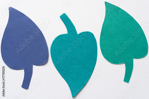 three abstract paper leaves in blue green-blue and green