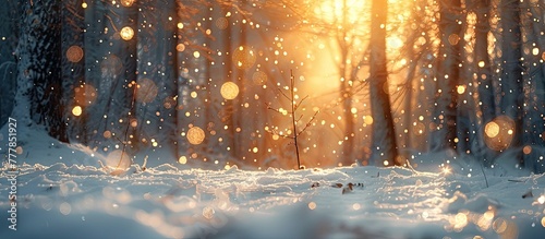 Tranquil Sunset Bokeh Light Blur Transforms Snowy Winter Forest into Magical Realm