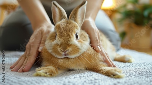 A paralyzed rabbit receiving physical therapy exercises from its owner, stretching and strengthening its muscles
