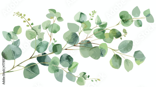 Watercolor hand painted light green eucalyptus branch