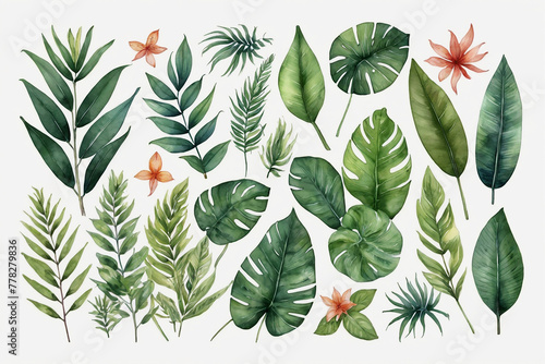 Watercolor set of tropical leaves and flowers. Hand drawn illustration isolated on white background.