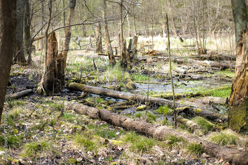 Bagno, naturalna retencja wody.