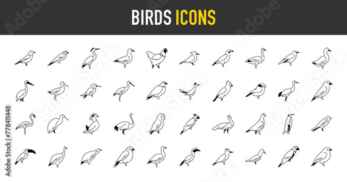 Birds icons set. Such as heron, peacock, crane, duck, flamingo, avocet, eagle, falcon, hen, humming, kingfisher, kiwi, ostrich, owl, parrot, penguin, pigeon, raven, sparrow vector icons