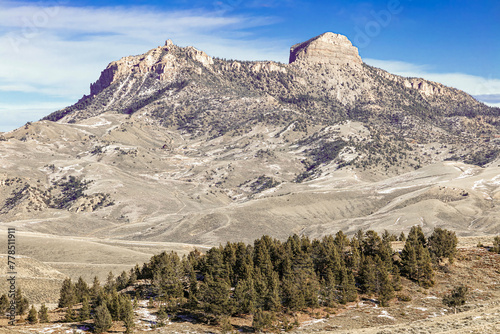 Heart Mountain and cluster of evergreen trees in the arid landscape of northwest Wyoming, USA