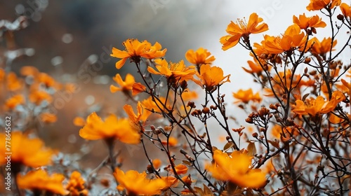 Beautiful orange flowers in the autumn forest. Shallow depth of field.