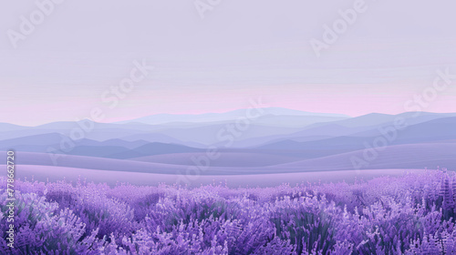 The peaceful and soothing lavender fields stretch to the horizon, bathed in sunrise hues