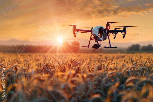 Drone Surveying Wheat Field at Sunrise