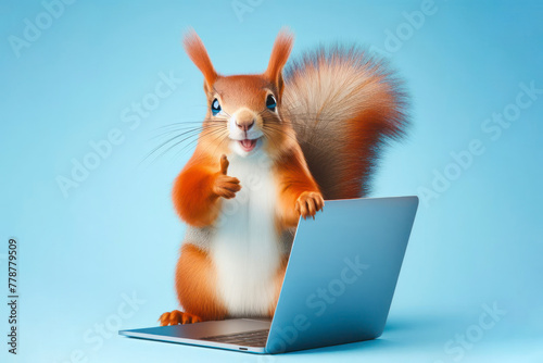 squirrel with laptop showing thumbs up on blue background