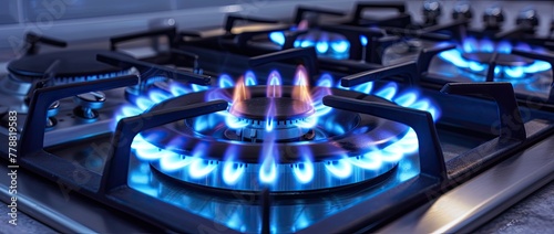 Take a closer peek at the gas cooker, its mesmerizing blue flame dancing gracefully as it brings culinary creations to life in the kitchen.