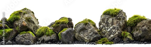 mossy pacific northwest rocks, seperator border web asset