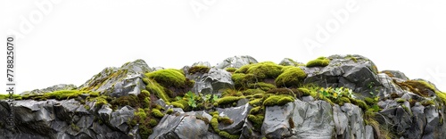 mossy pacific northwest rocks, seperator border web asset