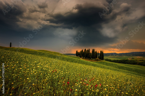 Beautiful Landscapes of Tuscany/ Italy