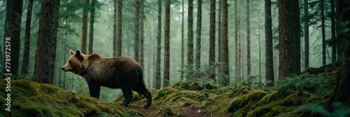 Brown bear in the woods, big wild animal in the lush green forest. walking and sitting in the jungle. made with generative AI technology.