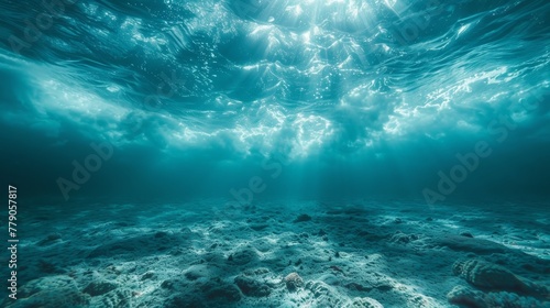 Sunlight streams through clear ocean water, highlighting the textured coral sea floor in a captivating underwater scene.