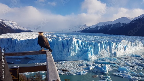 Glaciar Perito Moreno, Calafate, Argentina.