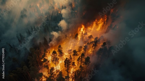 A striking image of an intense wildfire raging through a forest, a testament to nature's power and the urgency of environmental concerns
