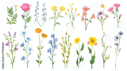 Set of differents flowers decoration on white background
