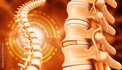 Human spine anatomy on scientific background. 3d illustration..