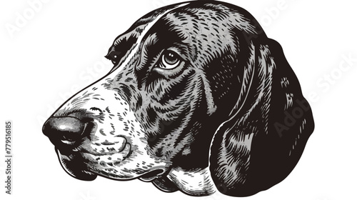 Vector antique engraving illustration of basset hound