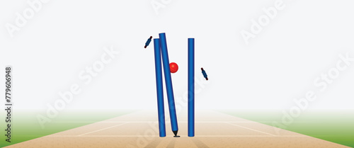 vector illustration of cricket ball hitting stumps