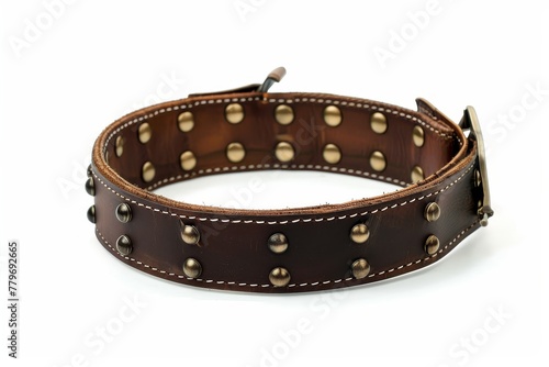 Brown riveted collar on white background
