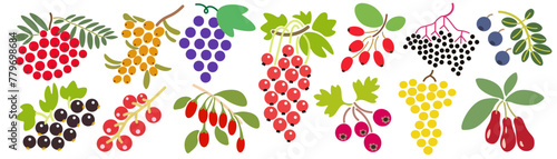 set of color isolated berries in flat shape style in vector. image of natural healthy eco food.template for logo sticker poster print decor design
