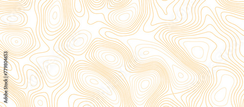 Abstract Light brown paper curved reliefs background .Panorama view gradient multicolor wave curve lines banner background design. Vector illustration. wave Line topography map contour background.
