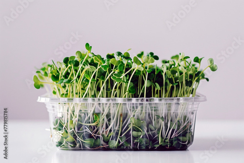 Micro greens superfood. Green micro plant growing in a pot on the white background, Germination sprouting and healthy eating and living. Gardening at home kitchen concept. 
