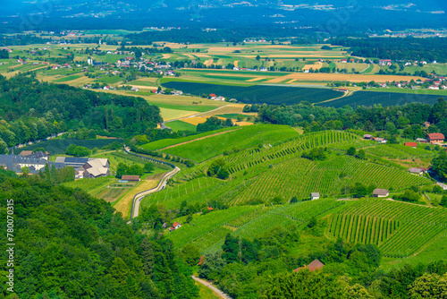 Aerial view of vineyards at Dolejnska region of Slovenia