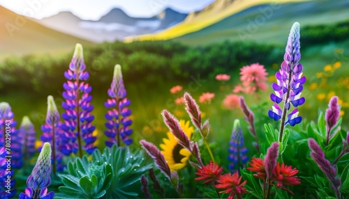 A tranquil scene of a mountain meadow in early morning light, with a close-up of colorful wildflowers such as purple lupines, red Indian paintbrushes,.