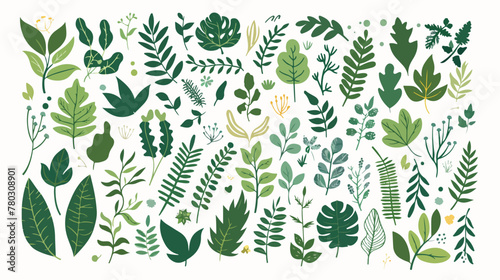 Vector plants branches and leaves collection