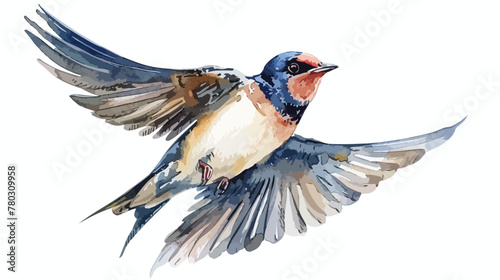 Barn swallow Hirundo rustica in watercolor painting