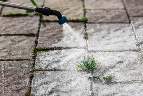 Weed Removing by Spraying Pesticides on Concrete Cobblestone. Weed Control on Paving Stones. Weed Killer Service.