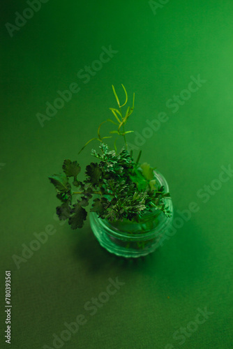 A sprig of artemisia in a glass jar