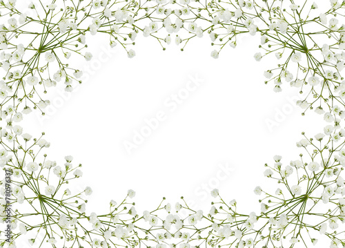Gypsophila flowers in a floral frame isolated on white or transparent background