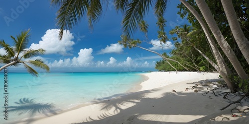 Tropical beach, beach with palm trees and sea