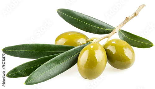 Oliven am Zweig isoliert auf weißen Hintergrund, Freisteller 
