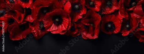 Delicate red poppies on a black background. Floral, dark, still life, photography.