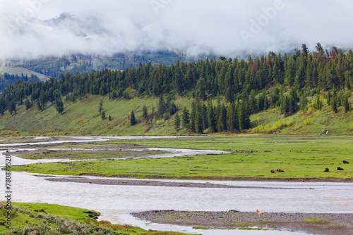 Lamar Valley of Yellowstone National Park Days before Historic Flood