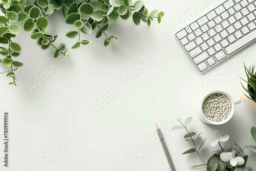 A minimalist desk where the green plant is the muse for