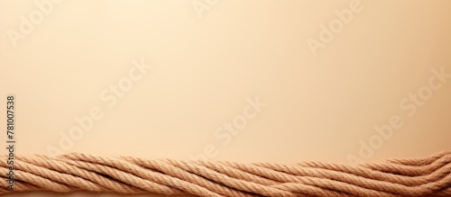 Detailed view of a rope on a simple white background, emphasizing texture and pattern