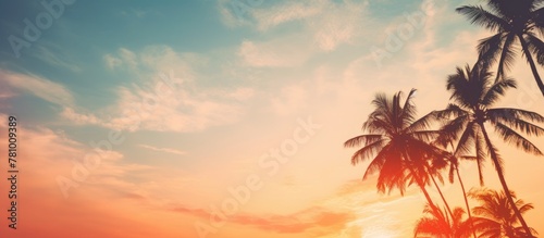 Silhouetted palm trees under a colorful sunset sky on a tranquil beach with gentle waves