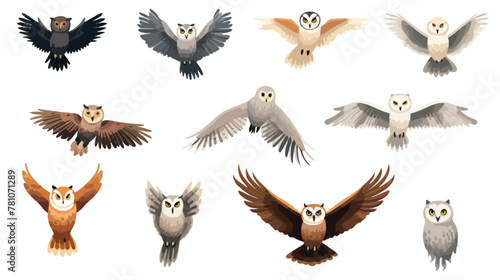 Flat vector set of different species of owls. Wild