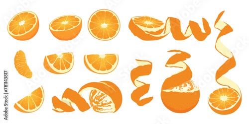 Collection of orange fruit slices. Flat vector orange fruit from different sides. 