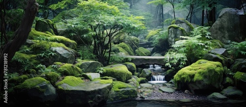 stream flowing in vibrant green forest amidst rocks