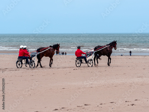Deauville, France April 5, 2023. Race horses on the beach during training, two horses with jokes. In the background, green hills with houses in Deauville Normandy